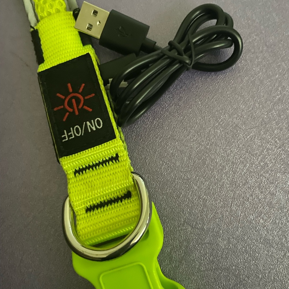 Lighted Dog Collar 3 Settings / USB Charging - Picture 6 of 9